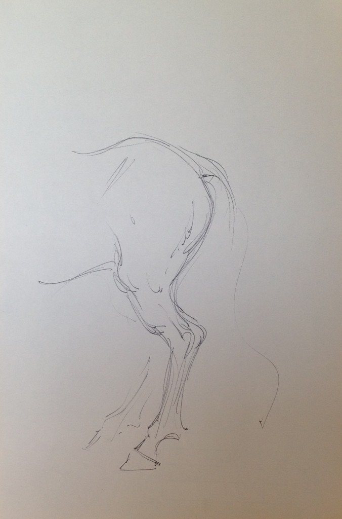 Cavallo studio di Gigi Busato, disegno a penna su carta in bianco e nero, collezione di famiglia