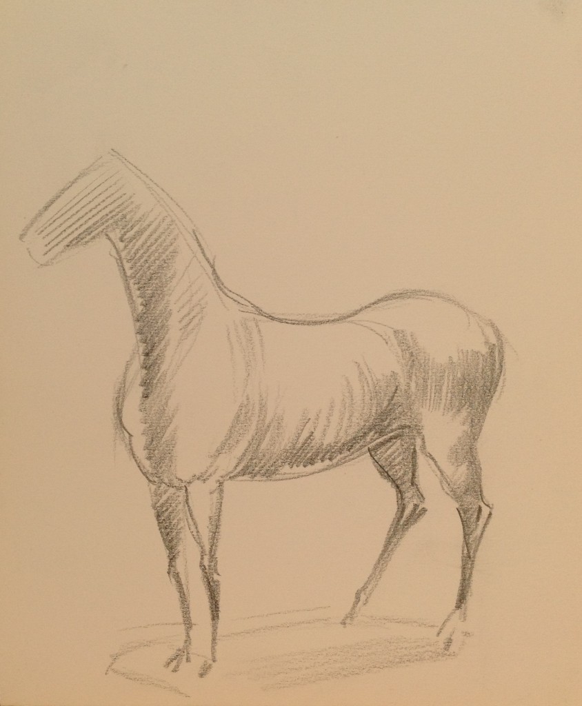 Cavallo studio prove di un cavallino, disegno a matita su carta bianco e nero, collezione di famiglia