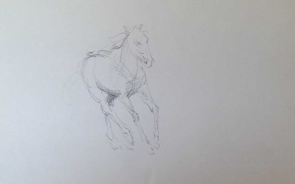 Cavallo studi, bozzetto di un cavallo di Gigi Busato, disegno a penna su carta in bianco e nero, collezione di famiglia