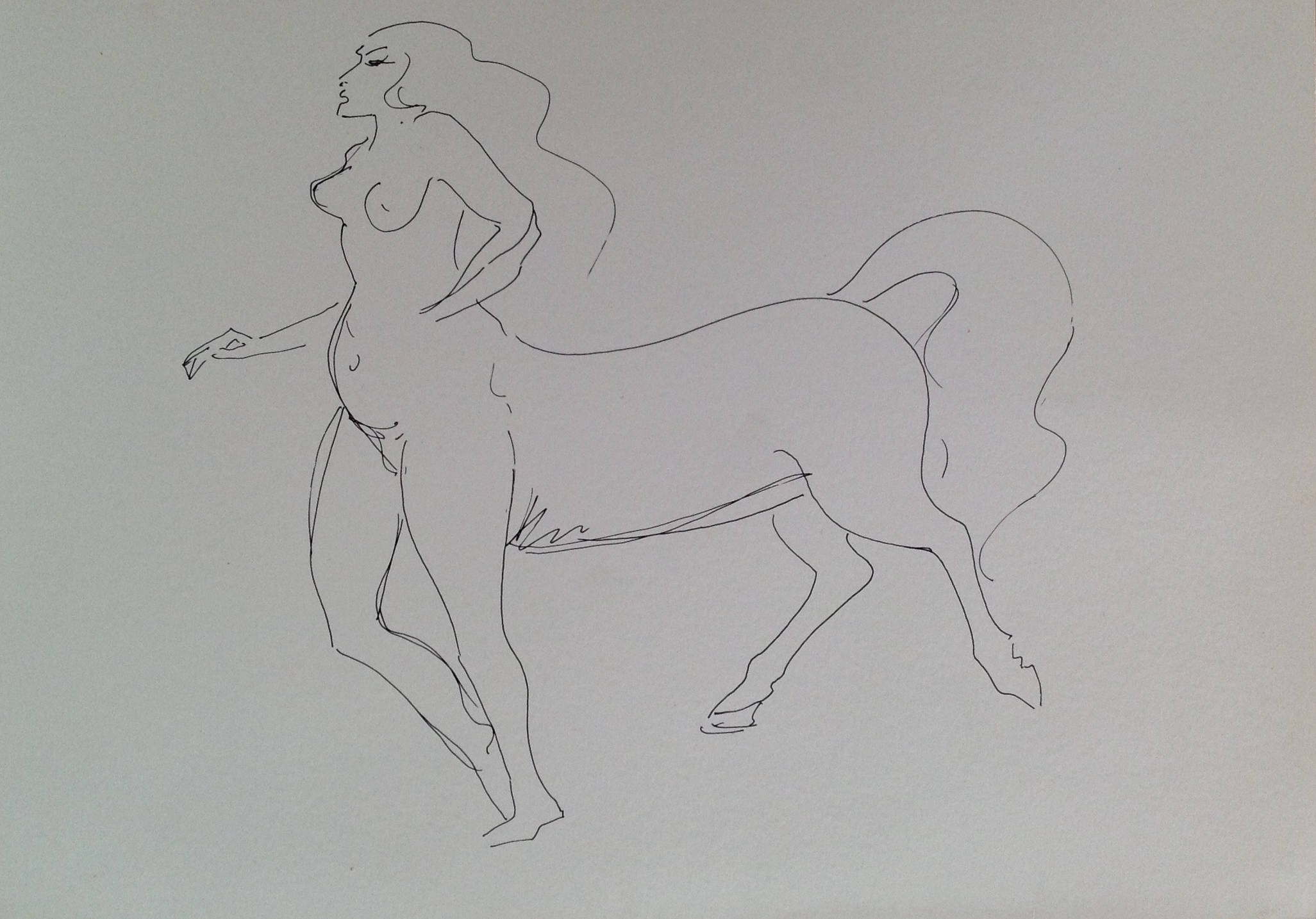 Centaura donna cavallo di Gigi Busato disegno a penna su carta bianco e nero collezine di famiglia