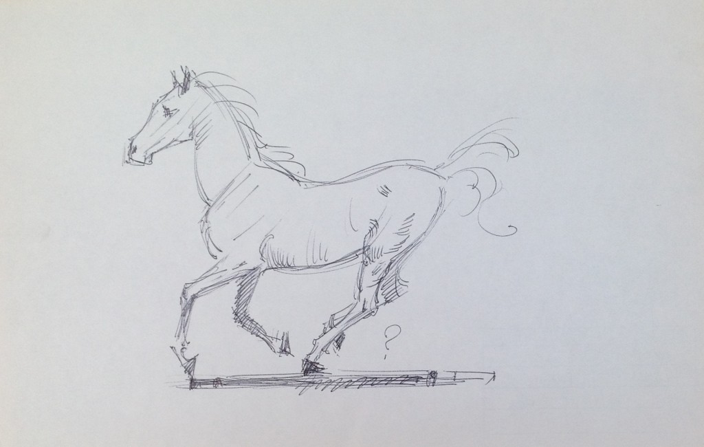 Studio di cavallo cavallino galoppo di Gigi Busato disegno a penna su carta in bianco e nero collezione di famiglia